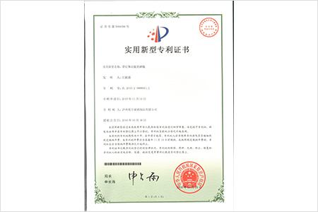 帶燈飾功能的酒瓶-實(shí)用新型證書(shū)